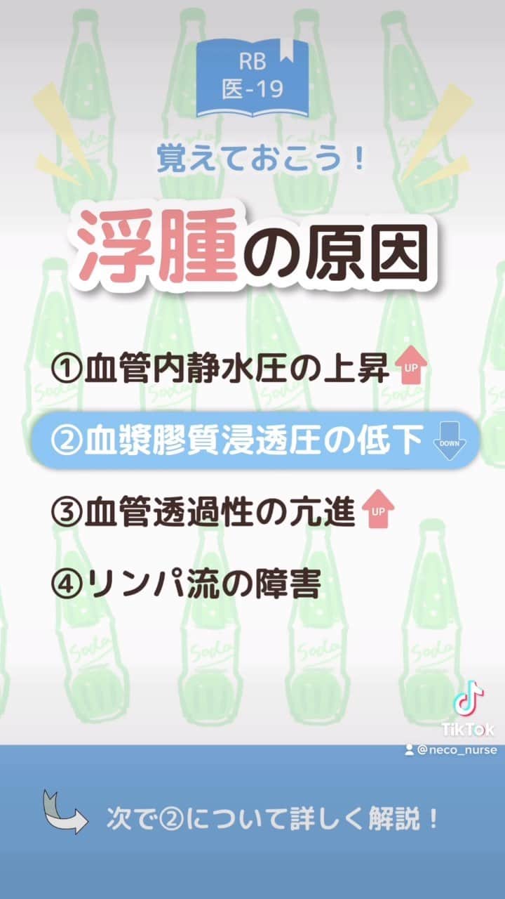 ネコナースのインスタグラム