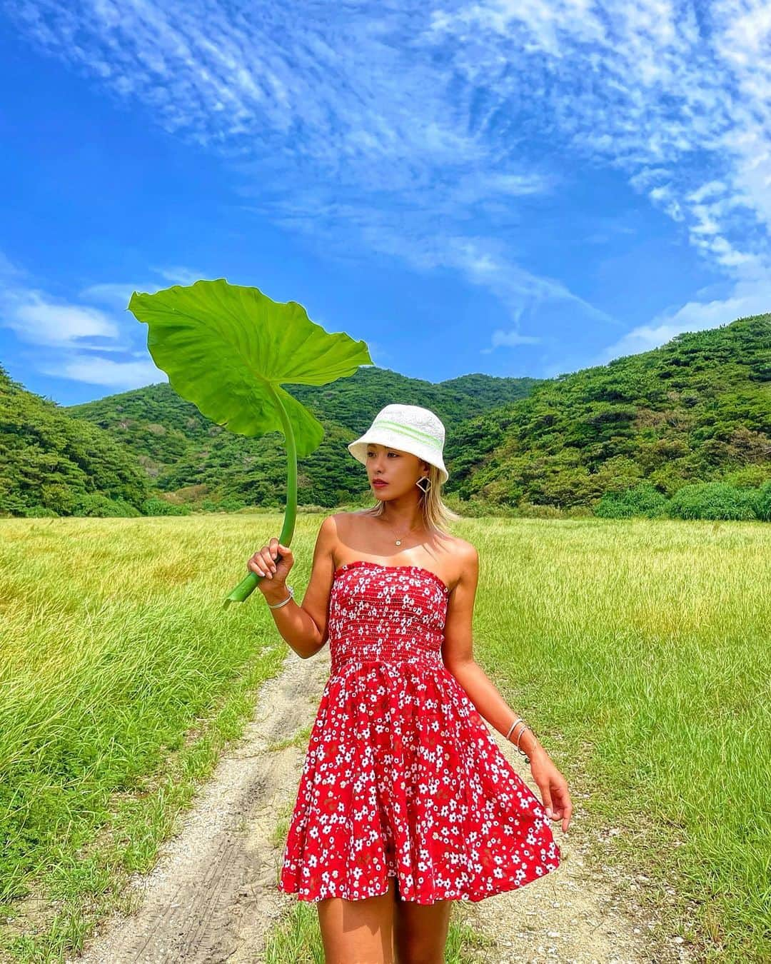 NAHOのインスタグラム：「#nature 🌏🌿 . . 座間味ってなんかね好きな道多い🌴❤️ こんな素敵な場所で毎日HAPPYに生活できるなんて幸せすぎてもー言葉がないよ🧚🏼‍♀️💕 . . 座間味は海だけぢゃなくて島の大自然も元気いっぱいでほんとに素敵なの🌴✨ みんなまだまだ遊びにおいでねーっ💕🎶 もっともっと沢山の方に座間味を知ってほしいなっ🌏💋 . . . #NAHO #ZAMAMI #zamamiisland #okinawa #naturegram #naturelovers #photography #沖縄 #沖縄移住 #島生活 #座間味島 #座間味 #自然 #島暮らし #海のある生活 #自然が好き」