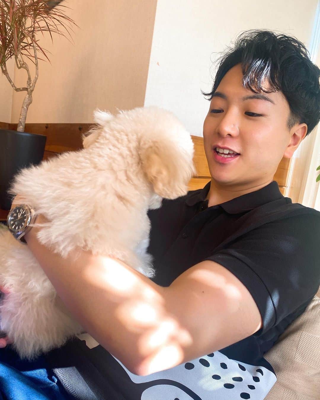 のインスタグラム：「⁡ ⁡先週は夏休みを頂きました！ ⁡ 愛媛の実家にも帰り、 愛犬にも癒されて心もしっかり満たされました☺️ ⁡ 個人的には2枚目が好きです笑 飼い主と似るんですかね🤣 ⁡  #愛媛県 #松山市  #東海テレビ #前田輝」