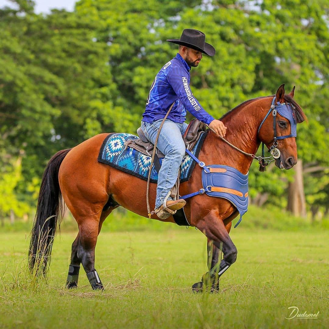 ルーグネッド・オドーアさんのインスタグラム写真 - (ルーグネッド・オドーアInstagram)「Centauro!!! uno de mis caballos consentidos 🐎 🐎 🐎 💨」9月21日 3時03分 - eltipo3