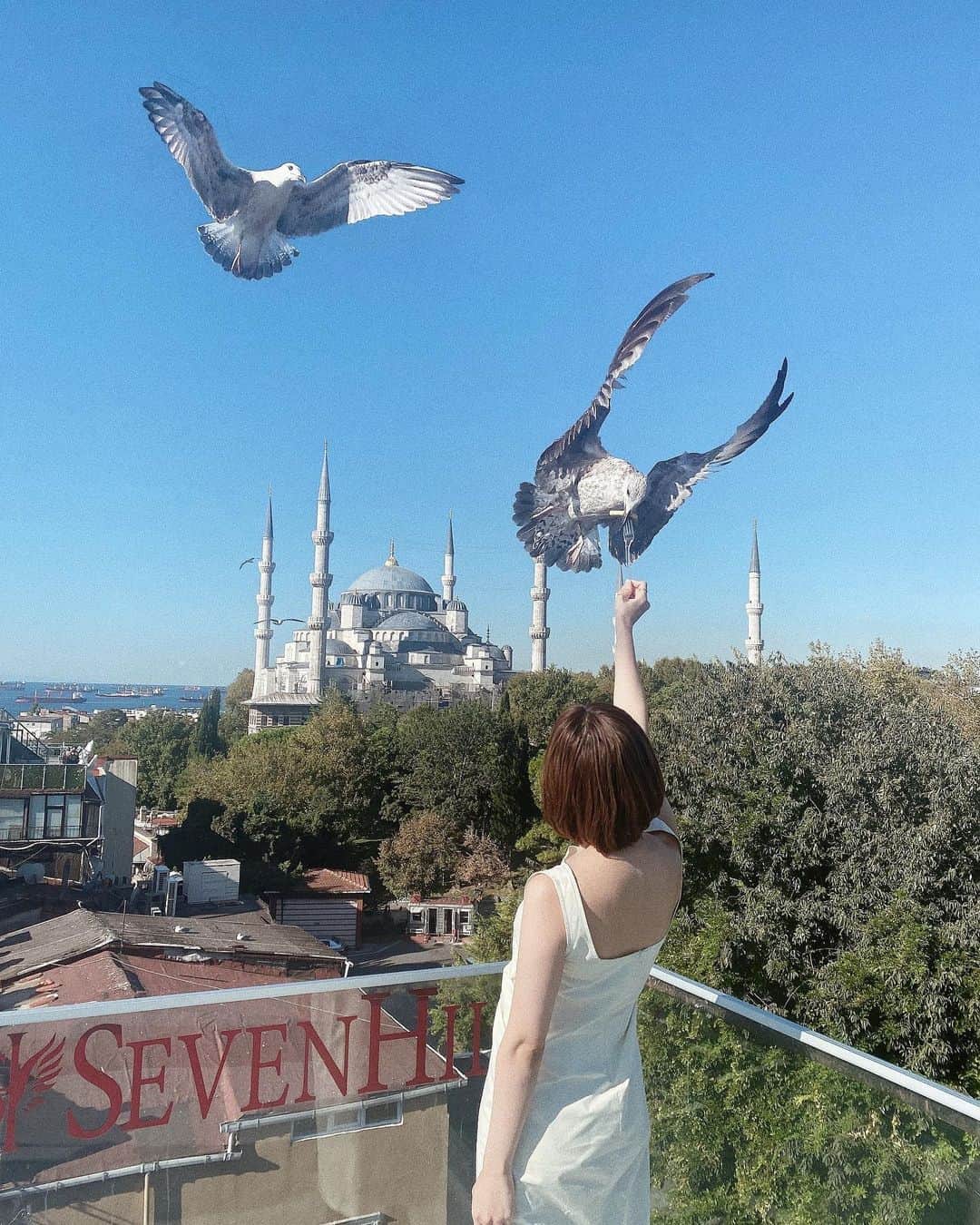 桃衣香帆さんのインスタグラム写真 - (桃衣香帆Instagram)「トルコがすきになりました。 ちなみに鳥は苦手めです。」9月21日 17時57分 - momoikaho