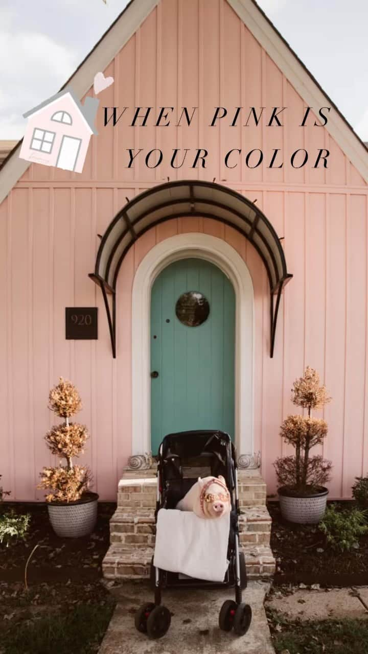 Hamletのインスタグラム：「If @hamlet_the_piggy could have a house of her own, it would be @thepinkhouseclarksville   #hamlet #pigsofinstagram #aesthetics #clarksvilletn #homestyle #homedesign #pinkisthenewblack #piggy #clarksvillerealestate #historichomes #localclarksvilletn #localbusiness #homesweethome #homeinspiration #designinspo」