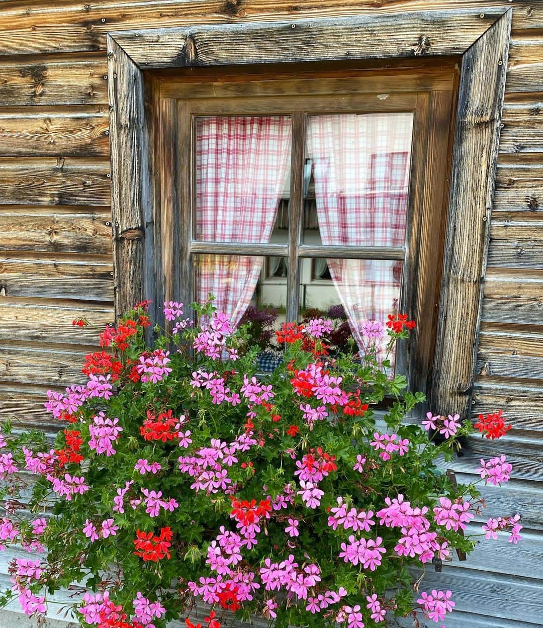 ザヒア・ドゥハールのインスタグラム：「#thecutesthouse 🌸」