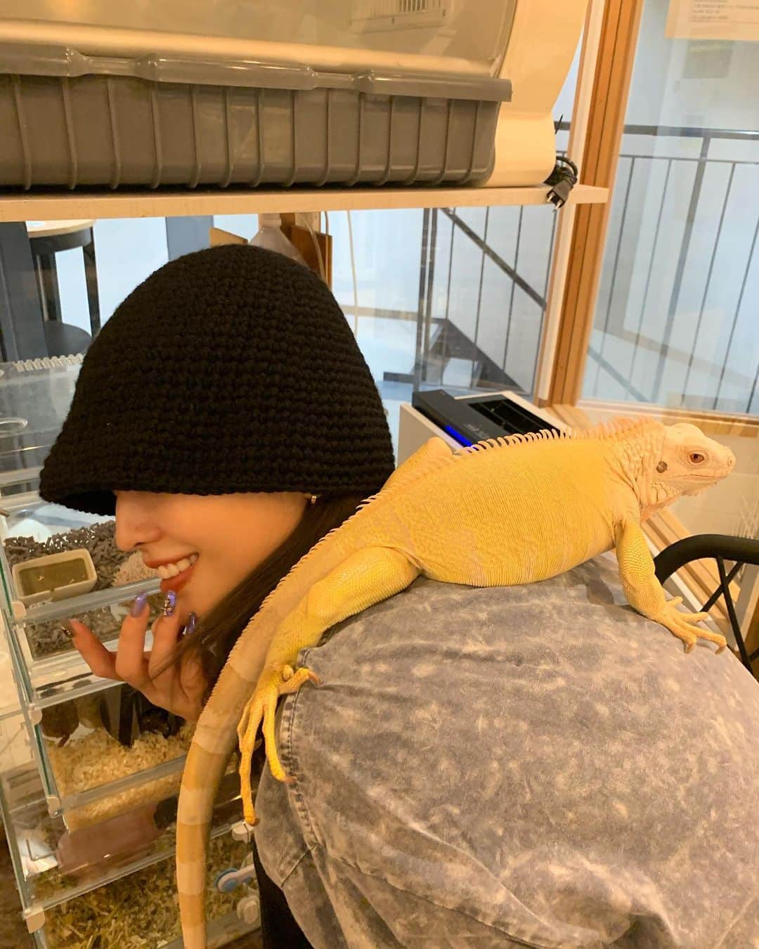 もものインスタグラム：「🦎💕」