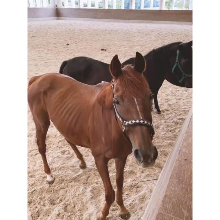 紗栄子のグルメインスタ