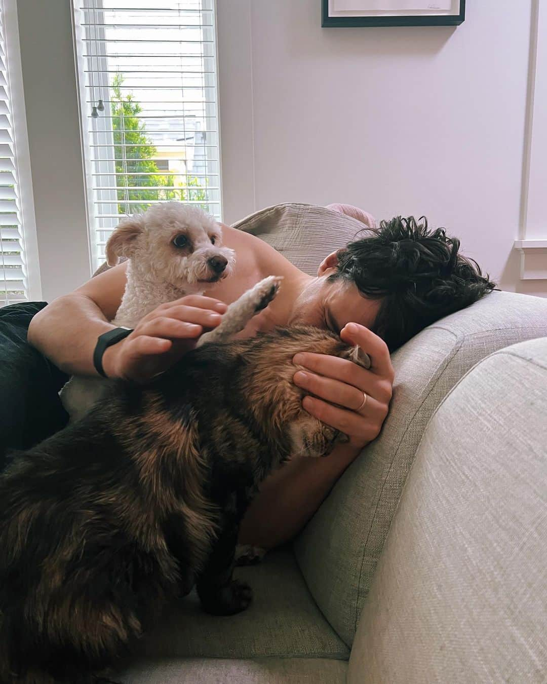 レイチェル・スカーステンさんのインスタグラム写真 - (レイチェル・スカーステンInstagram)「With a very heavy and quite frankly broken heart I said goodbye to my sweet Magnus yesterday. Anyone who follows me here is probably an animal lover so you know that pets can become more than just pets, they become family. Magnus was with me through many ups and downs, moved 6 times with me, made me smile/laugh every day even when I was sad, and from the minute I brought him home from the shelter he made himself right at home in my heart and life. Saying goodbye is inevitable when you have a senior animal, and it’s painful but so worth it. Thank you for adopting me Mags, there will only ever be one cat like you and I’m so grateful you spent your golden years with me.」9月22日 15時55分 - rachieskarsten