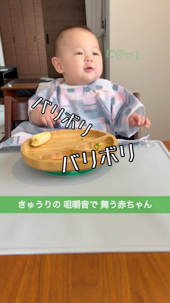 おとすずのインスタグラム：「. きゅうりの音、びっくりしたね😂🥒 . でも お姉ちゃん達と食べると楽しいね👶♡ . . #BLW離乳食#BLW#生後6ヶ月#5歳差育児#りつ記録」