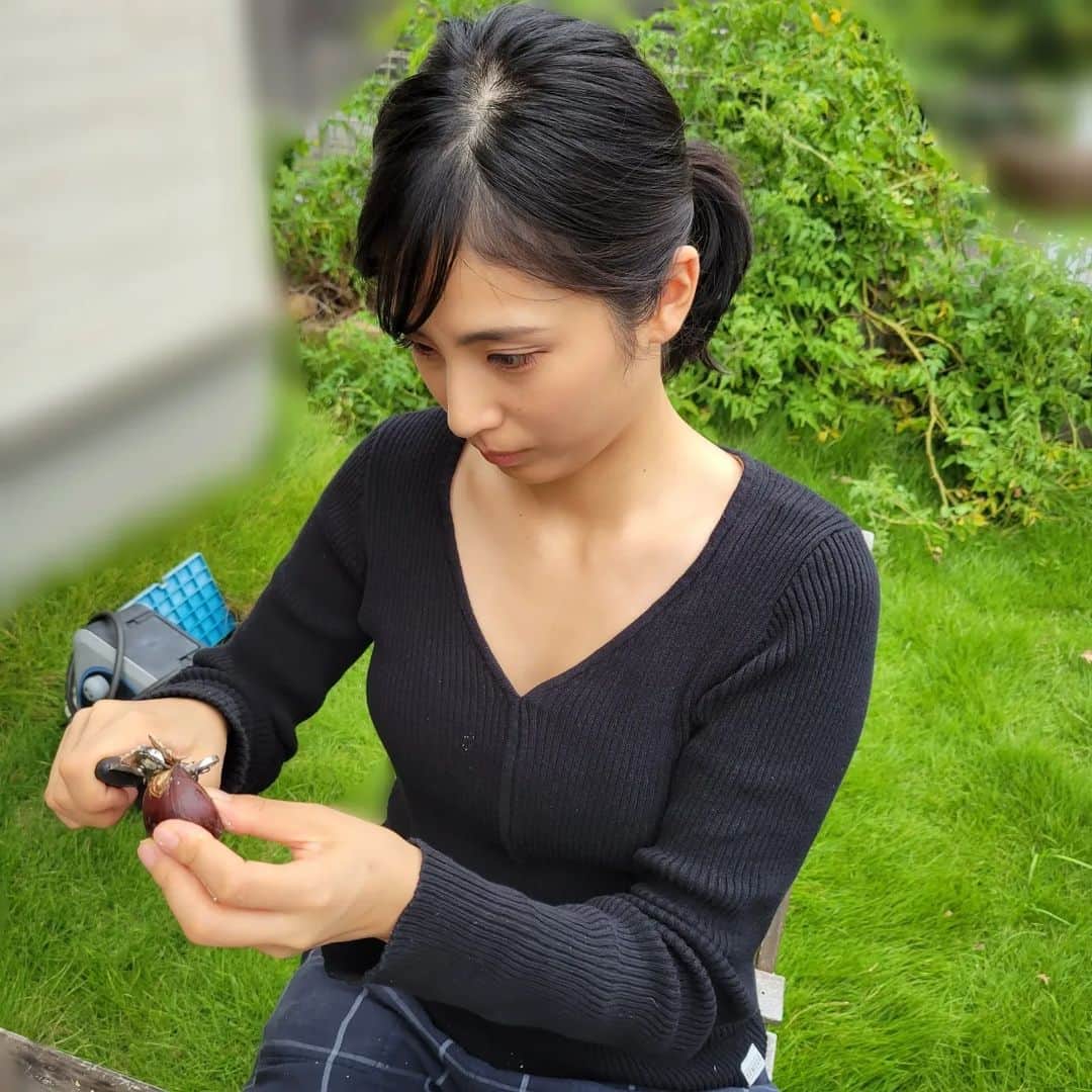 本仮屋リイナのインスタグラム：「今季、初栗😋🌰💓 わざわざ庭に出て、気分を出してみました🍁 わたしは剥いて食べる派、長男はスプーンでほじる派🌰 みなさんは、どっち？ 明日からの三連休。また台風がやってくるとか。みなさま、お気をつけください🍃 #くリイナ🌰  #顔がマジ」