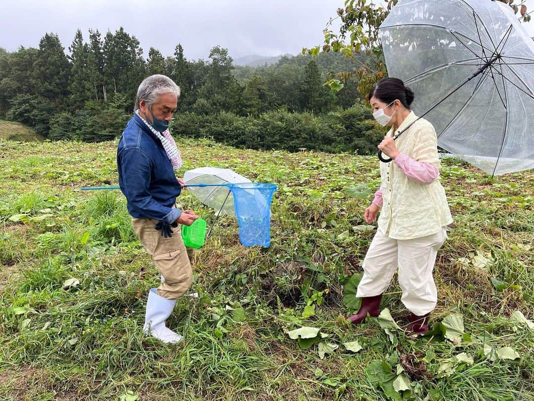 宮崎美子のインスタグラム：「皆さん、こんばんは。  明日は秋分の日。明日から三連休ですね。  皆さんは、どのようにお過ごしになるのでしょうか？  祝日のお昼間は少しテレビを見ていただけないでしょうか？  えーと。寺島進さんと虫取りをするドラマではありません。  明日の昼12時からテレビ東京にて『旅するサンドイッチ』というドラマに出演致します。  群馬の高崎市を舞台に美味しいキッチンカーで旅をするサンドイッチの妖精🧚さんのような可愛い2人と、美味しいお野菜や果物を作る農家の皆のお話しです。  私はもちろん、農家のお母さんです。  キッチンカーの妖精さんではありません。  ぜひ、明日12時からテレビ東京『旅するサンドイッチ』見てくださいね❣️  #ドラマ #テレビ東京 #旅するサンドイッチ #高崎市 #伊藤万理華 さん#富田望生 さん#遠藤雄弥 さん#寺島進 さん」