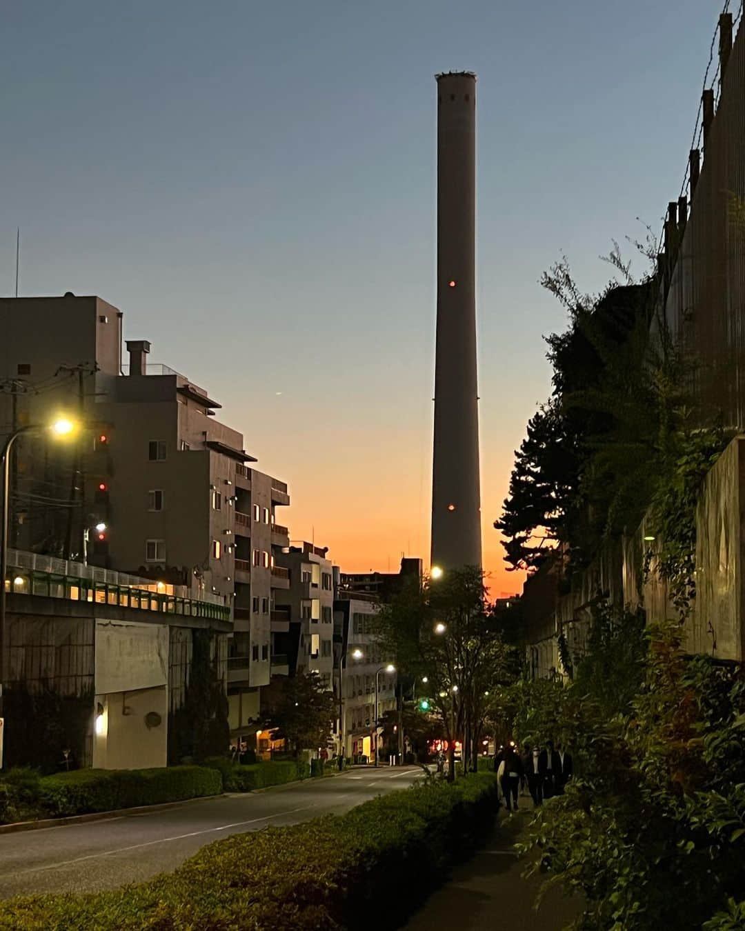 朝岡実嶺さんのインスタグラム写真 - (朝岡実嶺Instagram)「夕焼け散歩  Late afternoon walk  #東京 #目黒 #目黒川 #新茶屋坂通り  #夕焼け #夕陽 #tokyo #meguro #meguroriver  #shinchayazaka #sunset #lateafternoonwalk」10月21日 21時25分 - mirei_asaoka