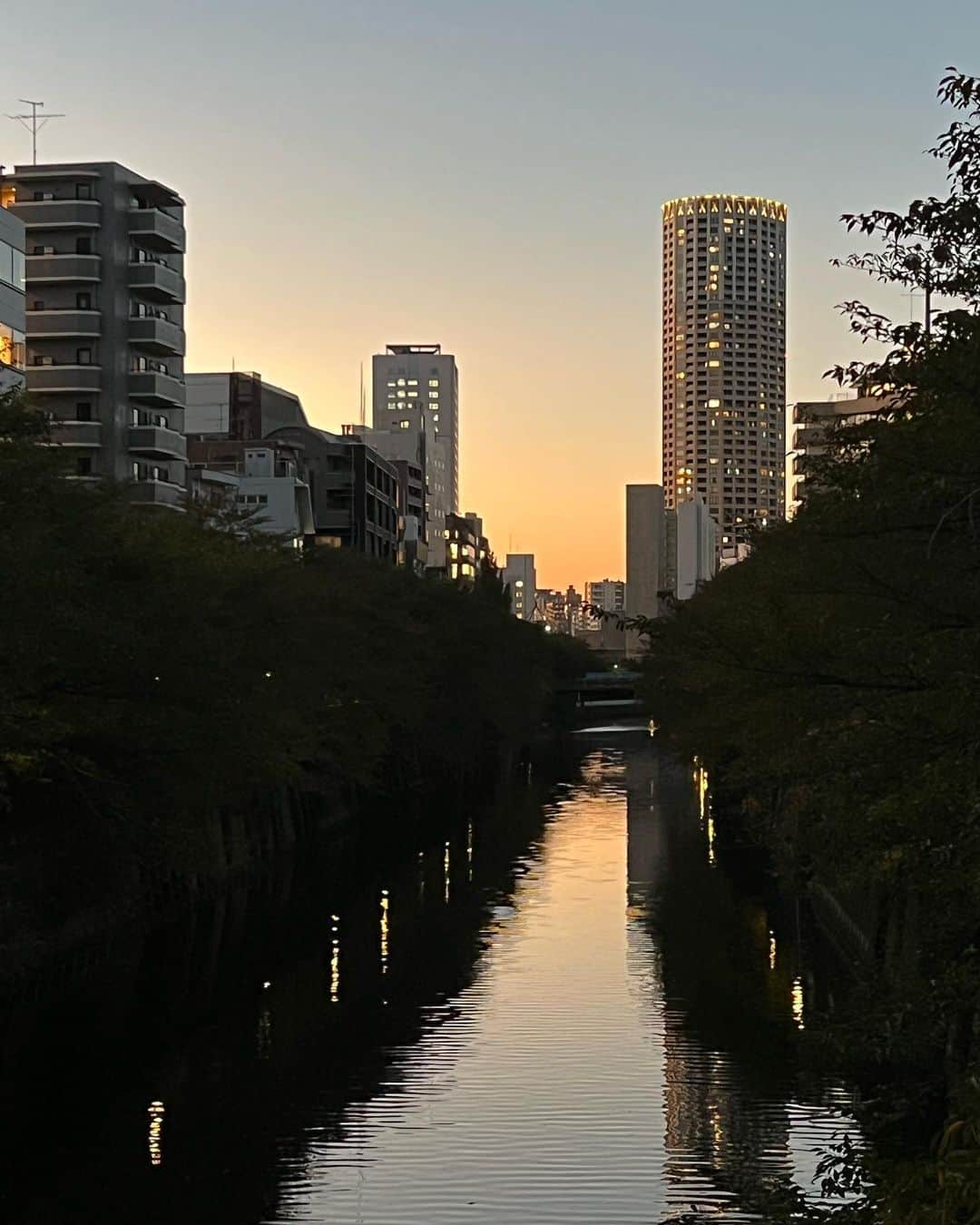 朝岡実嶺のインスタグラム：「夕焼け散歩  Late afternoon walk  #東京 #目黒 #目黒川 #新茶屋坂通り  #夕焼け #夕陽 #tokyo #meguro #meguroriver  #shinchayazaka #sunset #lateafternoonwalk」
