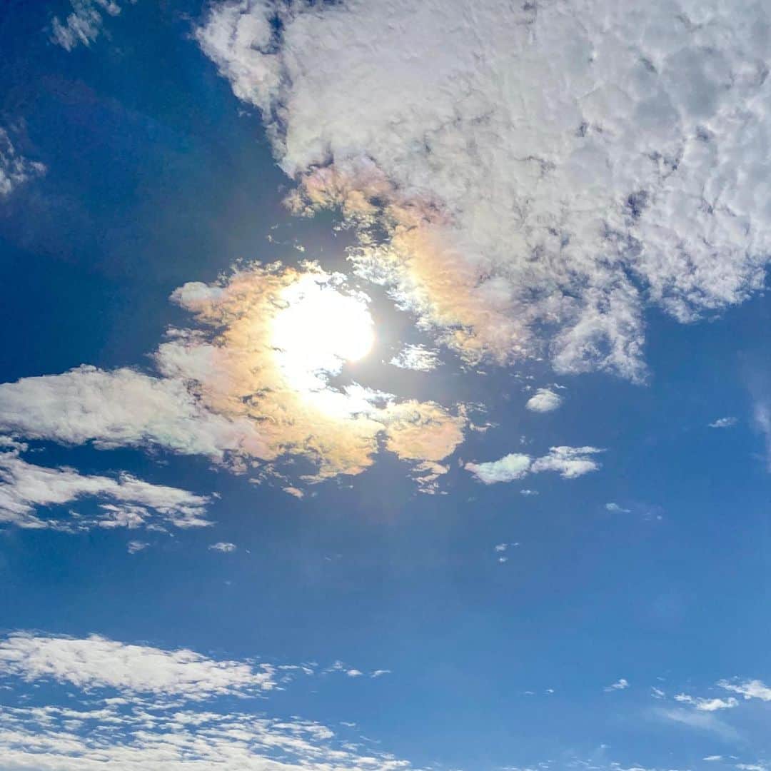 竹俣紅さんのインスタグラム写真 - (竹俣紅Instagram)「⭐️ 今週もイット！を観てくださってありがとうございました。 ⁡ 実は最近、時間を見つけると、空を見上げて雲の写真を撮るようにしています📸 ⁡ めずらしい形の雲が撮れたら、「ソラよみ」の中でご紹介したいなと思っているのですが、 そうは巡り会えるものではないので、地道に撮っていきますね！ ⁡ 三井気象予報士をはじめ、気象センターの皆さんに天気のあれこれを教えていただいている日々です☺️ ⁡ ⁡ 2枚目は、会社の入り口にある検温カメラの前に立つも、 反応が無くてしょんぼりしているガチャピンです。 ⁡ イット！公式インスタ @livenews_it に載っている ガチャピンとの2ショット写真を撮るときは、 どんな立ち位置で、どんなポーズで撮るか、 ガチャピンが考えてくれるのですよ〜💚 キュートでパワフルなガチャピンにいつも元気をもらっています✨ ⁡ ⁡ #イット」10月21日 21時41分 - benitakemata_official