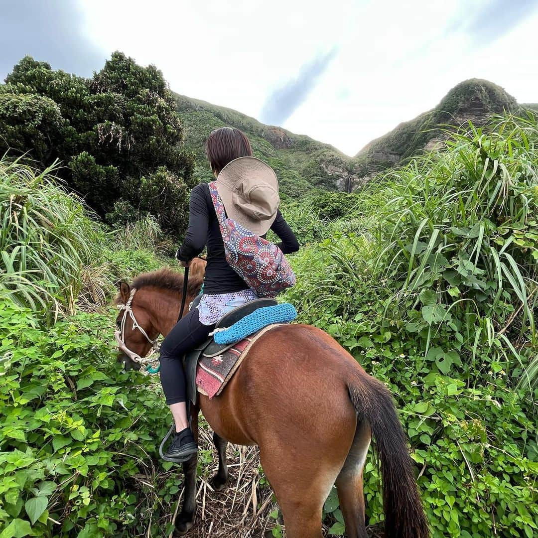 馬場典子さんのインスタグラム写真 - (馬場典子Instagram)「先日、コロナ禍以来はじめて、ただのんびりの旅が出来ました。 友人家族が移住した久米島は、 とてもとても優しい島でした。  とりあえず、お馬さん編。 久米島馬牧場の古民家に泊まらせていただいたら、朝早くからすぐ近くで馬たちが草をはむはむ。 癒されました✨  森に消えた集落を巡る乗馬ツアーにも参加。 春に生まれた仔馬たちも一緒にお散歩。 お馬の親子は本当に仲良しこよしで、仔馬は本当にパッパカ走っていました✨ そして、リアル「道草を食う」（笑）  #久米島 #乗馬 #久米島馬牧場 #古民家」10月21日 22時37分 - baba_channel