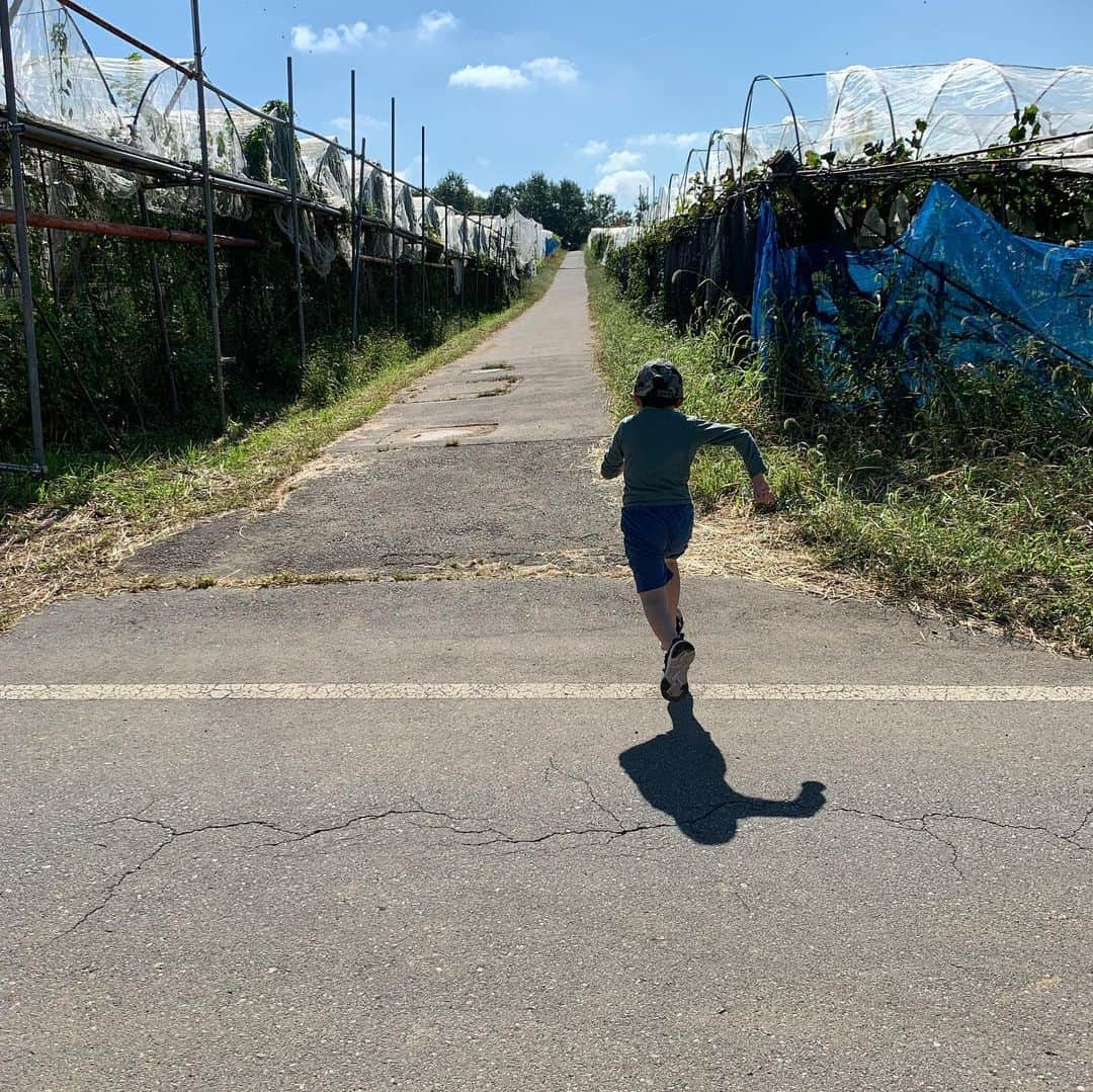 長崎真友子さんのインスタグラム写真 - (長崎真友子Instagram)「【長野県東御市】 東御市に出張してきました！現地視察と、市役所では市長との対談でした！ 家族で1番軽井沢を愛している長男のために軽井沢へも一泊‼️ 東御市の魅力はなんと言っても、冷涼な土壌で栽培できる葡萄でしょう！ワイナリー欲しさに移住してくる人も増えてきているとか🍷私もワインエキスパートとしては、ワイナリーは夢ですが、ここに畑を借りてまずは野菜から栽培予定！  今回子どもたちのアクティビティも試したかったので連れて行ってよかったー！フォレストアドベンチャーなども近くにあるし、ぶどう狩りは最高でしたね🍇✨キャンプ場もよき♫ 東御市にもある、軽井沢の人気のチーズショップ&レストラン、#アトリエドゥフロマージュ も30分以上並びましたがチーズ尽くしのランチ堪能できました🧀✨ 私が表敬訪問や視察している間に子どもたちは上田の方に歴史探訪に出かけていました‼️  長野県は大人も子どもも楽しめるなぁ‼︎今回は料理研究家の谷口ももよさんもご一緒させていただき、薬膳コラボを提案中です☺️ 冬の長野県も好きなのでまた行ってきます‼️  #女子アナ47 #地方創生　#地方局　#フリーアナウンサー　#アナウンサー #地方創生アナウンサー　#動画制作 #ご当地商品　#japanesegirl #announcer #長野県　#東御市　#tomi #toumi #東御 nagano　#魅力発見　#国内旅行 #旅行好きな人と繋がりたい #たびすたぐらむ　#ぶどう狩り #ファーム　#子連れ旅　#出張　#businesstrip」10月21日 22時37分 - mayuko_nagasaki