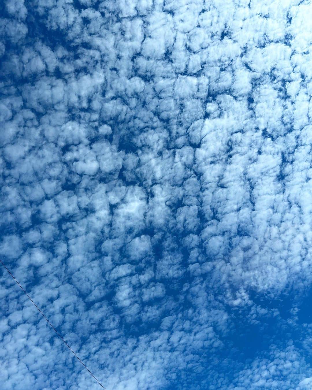 ayu kagawaさんのインスタグラム写真 - (ayu kagawaInstagram)「今日は空一面綺麗なうろこ雲だった☁️🌾 #秋」10月21日 23時10分 - ayuyunyun