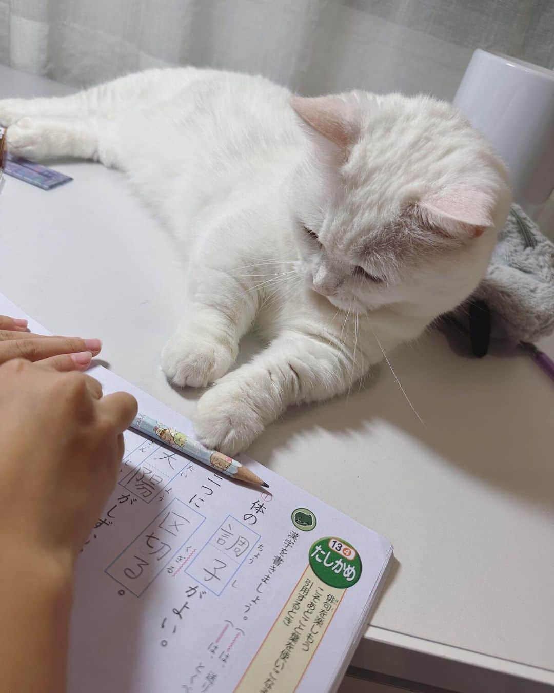 ダニョ（鈴木えみ）のインスタグラム