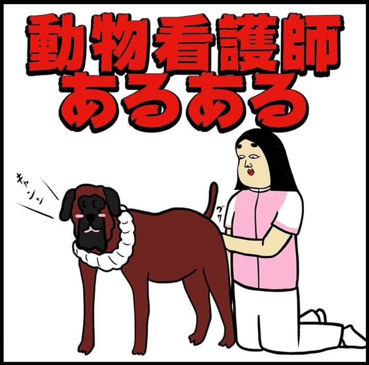 BUSONのインスタグラム