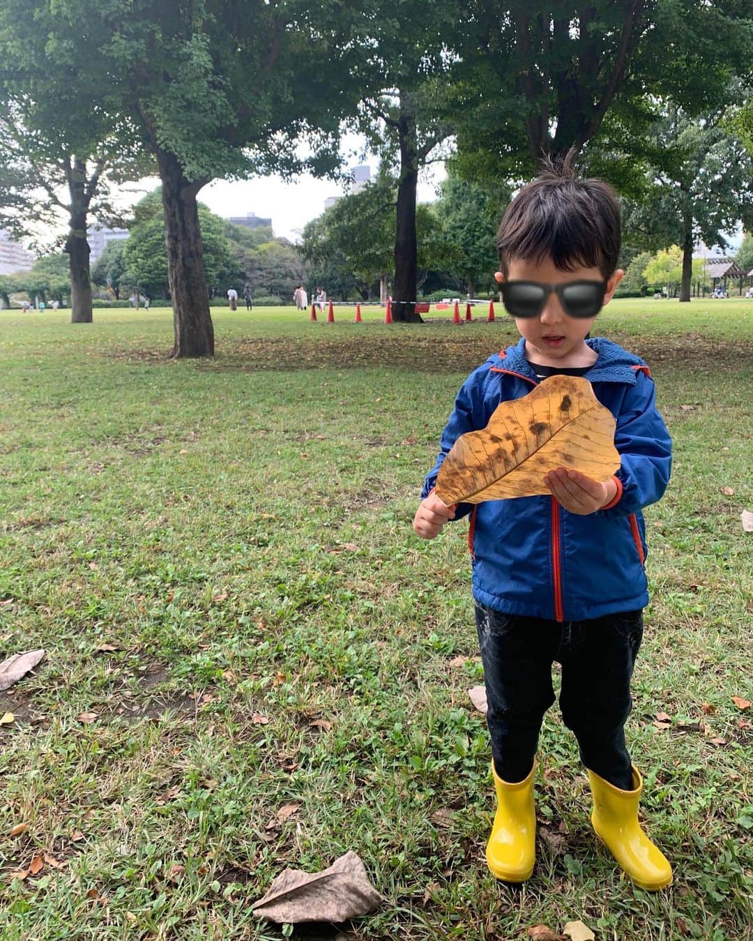 仲川希良さんのインスタグラム写真 - (仲川希良Instagram)「息子が本日見つけた秋 ・ 「はいどうぞ」 と持ってきてくれるのが嬉しくて ・ ・ でも ・ ギンナンは辞退させていただきました ・ ・ #🍁 #秋 #公園遊び #アウトドア #育児 #子育て」10月19日 0時56分 - kiranakagawa