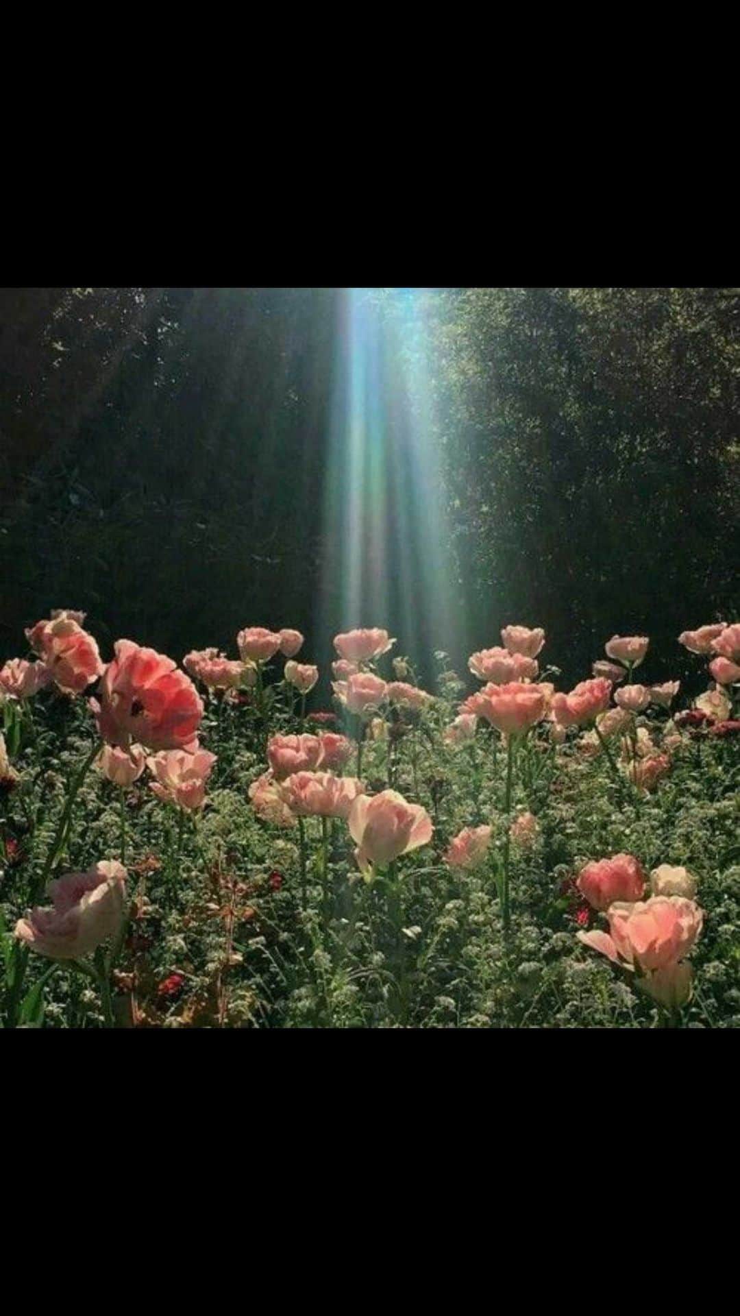 クリスティナ・バザンのインスタグラム：「Little update on what’s been up. New beginnings, being gentle with our nervous system, taking the time to integrate and honor each step on our path, navigating and taming guilt. These are all topics addressed in this short but sweet live 💕 Sending you love wherever you are.」