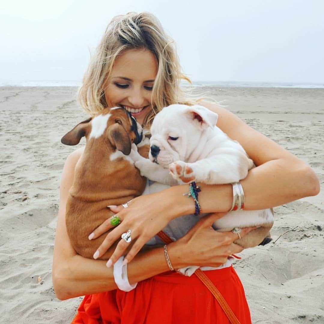 Bodhi & Butters & Bubbahさんのインスタグラム写真 - (Bodhi & Butters & BubbahInstagram)「@ohbodhino is 9 now, and living his best life in SoCal with his dad and his new mom 💖🐶 grateful to stay in touch and see the squishy little potato getting all the love he deserves 🐶💖」10月19日 3時06分 - keonistuff