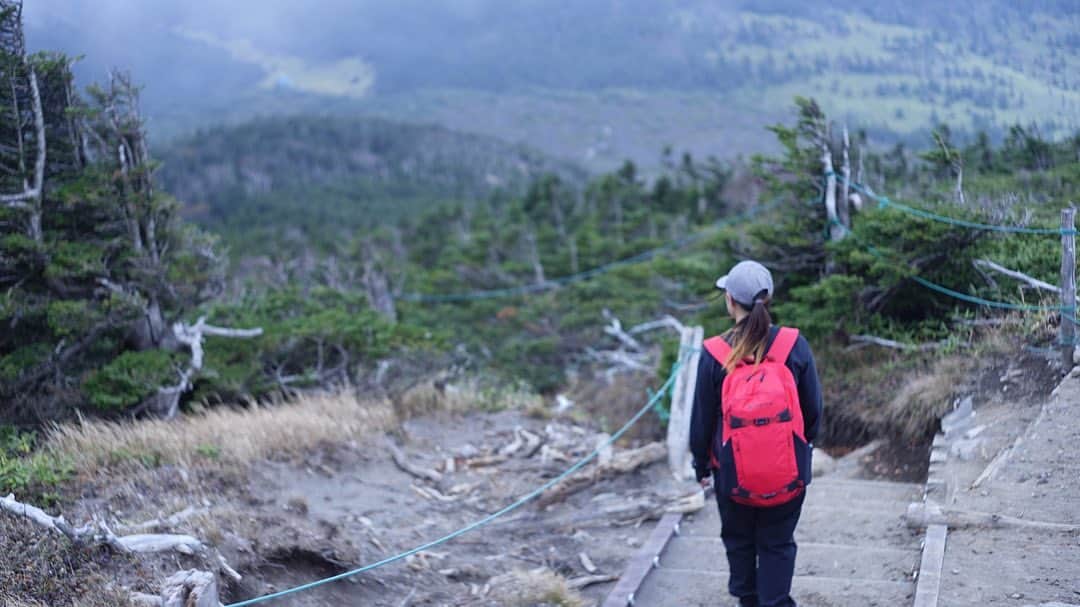 今井胡桃さんのインスタグラム写真 - (今井胡桃Instagram)「久しぶりの登山⛰」10月19日 14時15分 - kurumi924