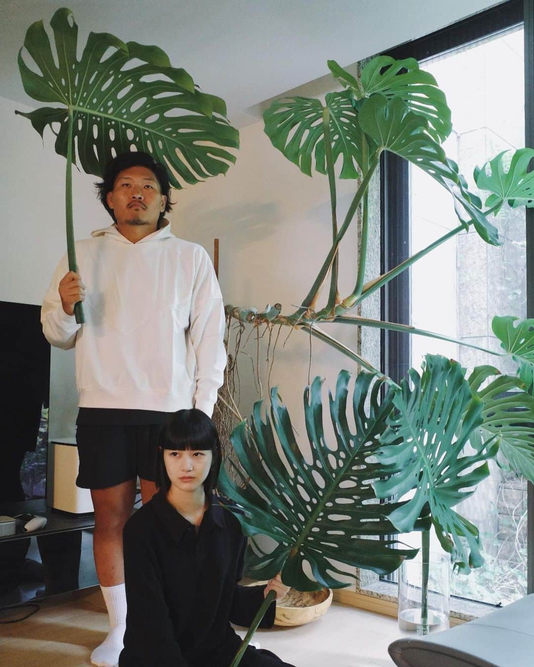 新井貴子のインスタグラム：「泣く泣く剪定しなければいけなかった葉っぱたち。 まだ綺麗だったので記念に写真を撮ったら、 溢れ出るトトロ感（後ろのかた）。  🌳」