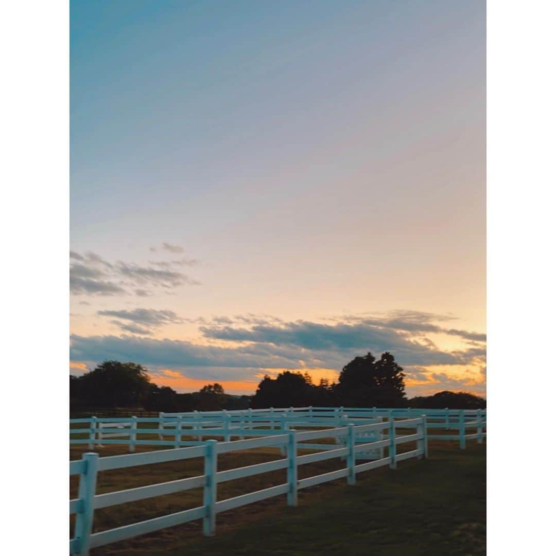 紗栄子さんのインスタグラム写真 - (紗栄子Instagram)「昨夜、 @nasufarmvillage にいた馬の佐助が虹の橋を渡りました。  佐助は私がファームにやってきて、1番最初にレッスンをしてくれた思い出深い子で、とても穏やかな賢い子でした。  この2ヶ月、良くなったり悪くなったりを繰り返していた佐助ですが、宮崎のPOPUPが終わり、ファームに戻ることができるタイミングでのお別れとなり、私たちの帰りを待ってくれていたんだなぁと、佐助は最後まで佐助らしかったです。  バンブスとも仲が良かったので、天国でまた逢えて一緒に遊んでくれていたらいいな。 と願っています。  佐助のいなくなった馬房はやっぱり寂しく感じるけど、献身的に看病をしてくれた馬部のみんなと可愛い佐助のお話をたくさんして、明日からも少しずつみんなで笑顔を取り戻していけたらと思います。  そして最後に、佐助に会いに来てくださった皆様、触れ合ってくださった皆様に、心より感謝申し上げます。」10月19日 20時30分 - saekoofficial