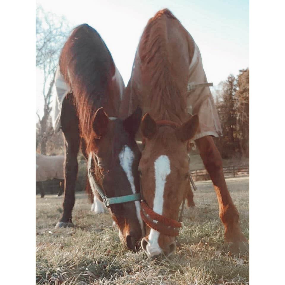 紗栄子のグルメインスタ