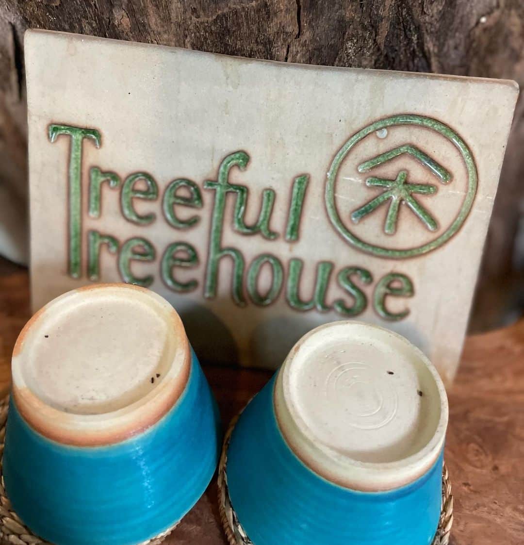 田中律子さんのインスタグラム写真 - (田中律子Instagram)「『Treeful Treehouse』🌴🏠🌳 　@treeful.treehouse  菊川さんのツリーハウスに1年ぶりにまた遊びに行かせていただきました🤩  名護から少し北に上がって、源河大川の上流を目指し、車を走らせると、ヘゴの木々がまるで太古の時代に連れて行ってくれるよう🦕🦖細い山道を進んでいくと、木々の間に、Treeful Treehouse➡️という看板が道案内してくれる🙌🏼  本当にこの場所は小さい頃見た絵本の世界のようで✨大人も童心になって目を輝かせてワクワクさせてくれる🤩  はぁー、素敵すぎるーーー🌳🌴 菊川さんありがとうございました🙏🏼  村元さんツリーハウスサウナ企画してくれてありがとー🔥 @0304kei   ツリーハウスサウナはまた後ほど🤙🏼これまた最高なサウナだった😍  #treefultreehouse  #treehouse #sustainable  #resort  #太古の森  #夢とロマン  #絵本の世界」10月19日 21時05分 - ri2kotanaka