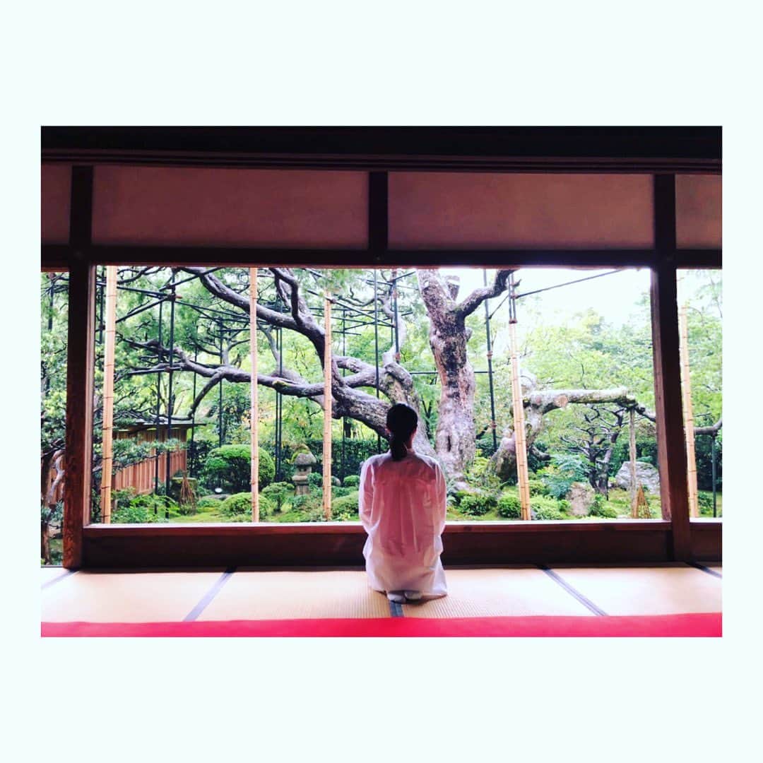 下村真由美のインスタグラム：「京都の旅🍁🥢🍻👘✨ 整いました🙏✨  #京都 #三千院  #山の手倶楽部 #綾小路唐津  #多麻」