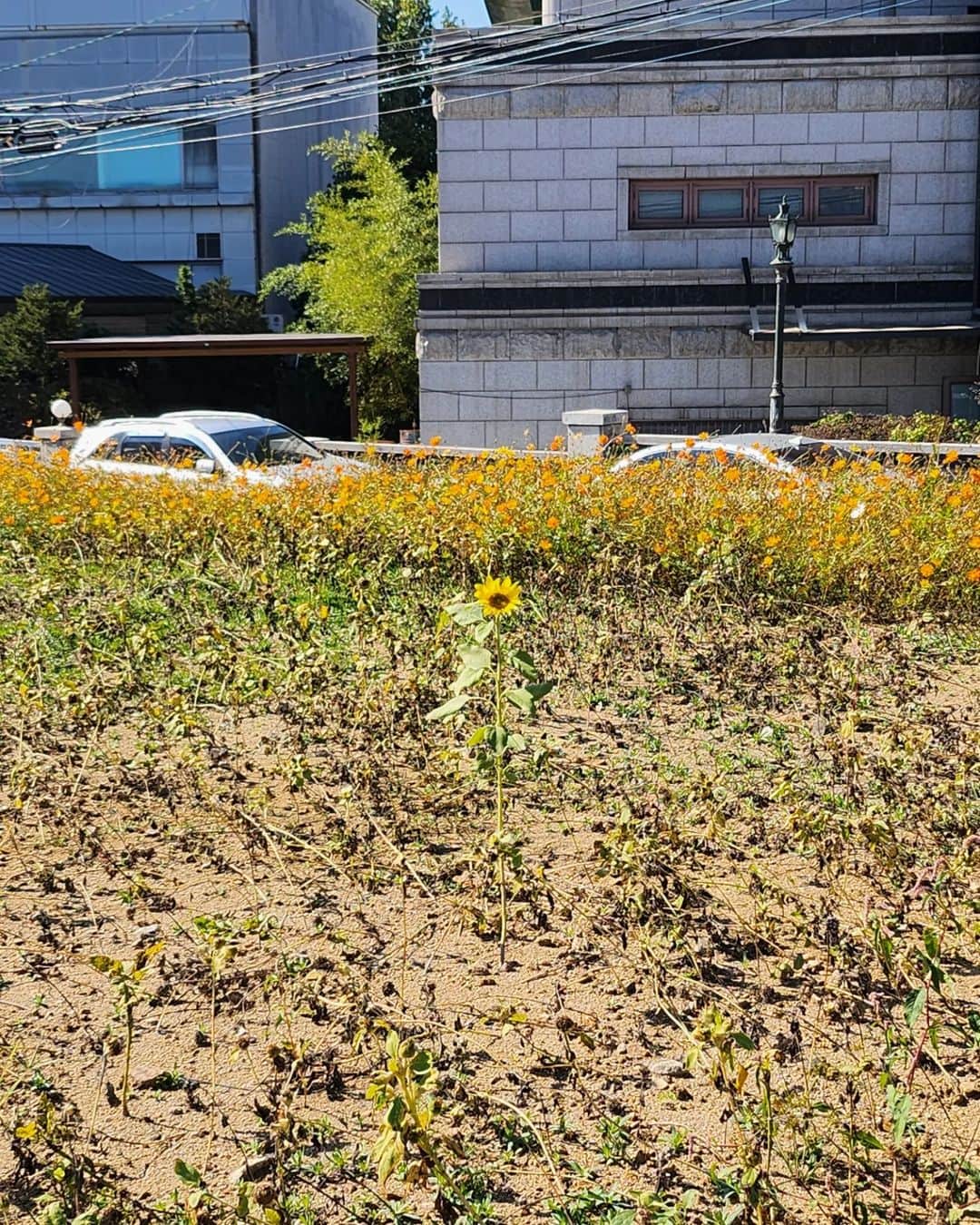 RMさんのインスタグラム写真 - (RMInstagram)「가을에 이유가 있나요」10月20日 13時52分 - rkive