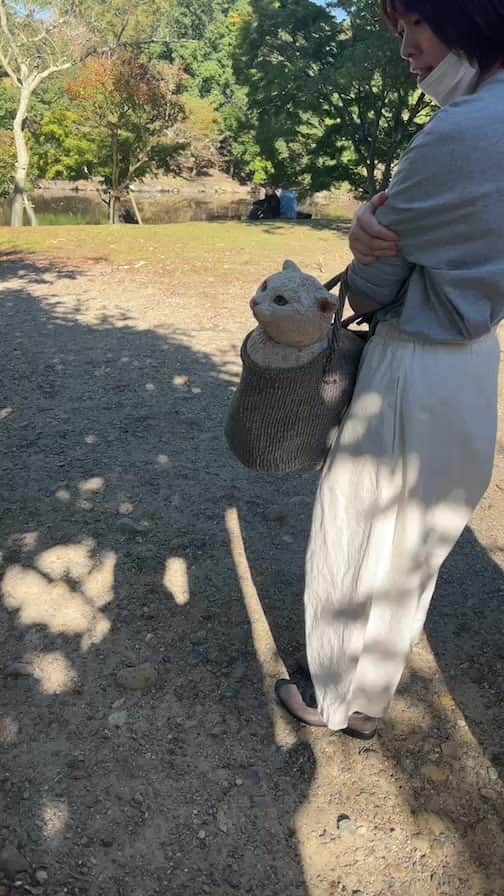 はしもとみおのインスタグラム