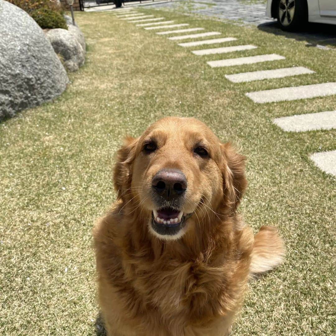 カンナム のインスタグラム：「60살까지 살자!!!!!」