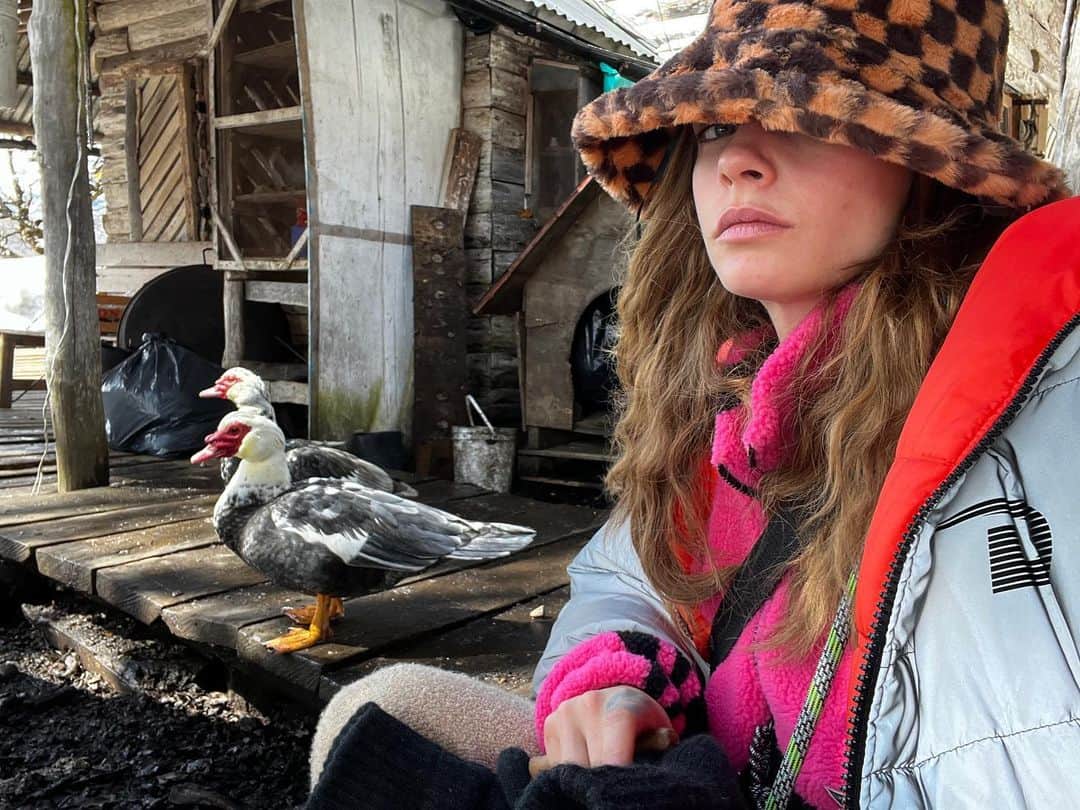 カーラ・デルヴィーニュのインスタグラム：「Duck duck goose」