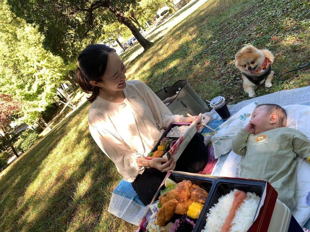 北川まみさんのインスタグラム写真 - (北川まみInstagram)「天気が良かったので、近所の公園まで思いつきでピクニック☺️ お弁当買ってワンころ🐶も連れて、家族4人でのーんびり✨ 妊娠してた時、こーいうの夢だったなぁ🥹  👶もいつものベビーカーからの景色じゃないから、ずっとキョロキョロして楽しそう☺️💕 ショッピングしたりランチしたりも楽しいけど、やっぱり自然の中にいるのが一番リフレッシュできる🌸また寒くなる前に行きたいな⭐️」10月21日 15時50分 - mk0323