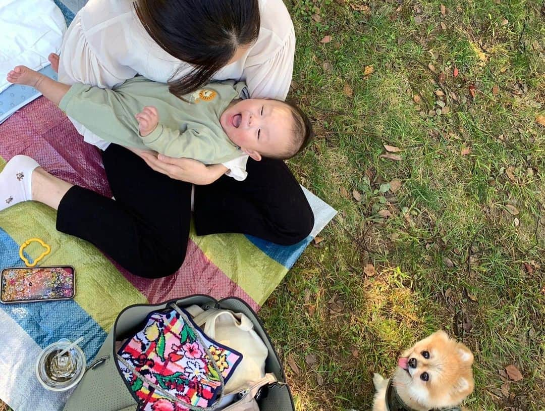 北川まみさんのインスタグラム写真 - (北川まみInstagram)「天気が良かったので、近所の公園まで思いつきでピクニック☺️ お弁当買ってワンころ🐶も連れて、家族4人でのーんびり✨ 妊娠してた時、こーいうの夢だったなぁ🥹  👶もいつものベビーカーからの景色じゃないから、ずっとキョロキョロして楽しそう☺️💕 ショッピングしたりランチしたりも楽しいけど、やっぱり自然の中にいるのが一番リフレッシュできる🌸また寒くなる前に行きたいな⭐️」10月21日 15時50分 - mk0323