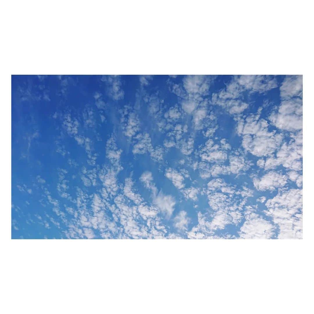 花村怜美さんのインスタグラム写真 - (花村怜美Instagram)「秋日和。 #空 #雲 #自然 #景色 #風景 #sky #cloud #clouds #cloudscape #cloudstagram #skystagram #nature #japan」10月21日 16時00分 - satomi_hanamura
