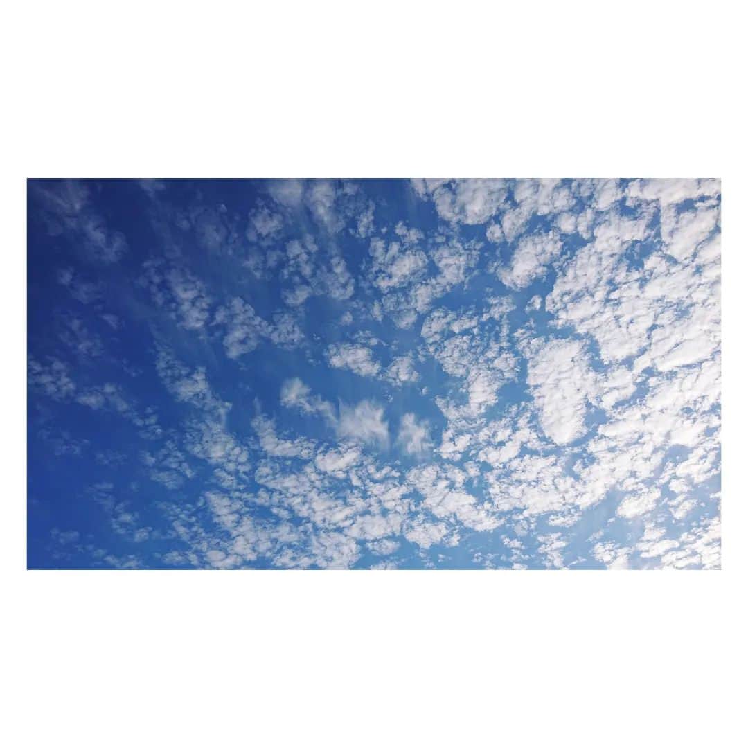 花村怜美のインスタグラム：「秋日和。 #空 #雲 #自然 #景色 #風景 #sky #cloud #clouds #cloudscape #cloudstagram #skystagram #nature #japan」