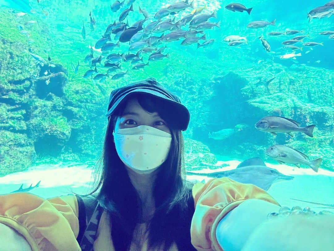 栗林さみさんのインスタグラム写真 - (栗林さみInstagram)「母のふるさとにある水族館。 はじめて行けました。 海の宝石をバックに📸 . . . #フォトきらら2022 #色 #水族館 #海きらら #水槽 #魚 #アクアリウム #アナウンサー #帽子コーデ #帽子 #fish #aqua #長崎 #佐世保 #九十九島 #九十九島パールシーリゾート」9月27日 23時13分 - kurisami