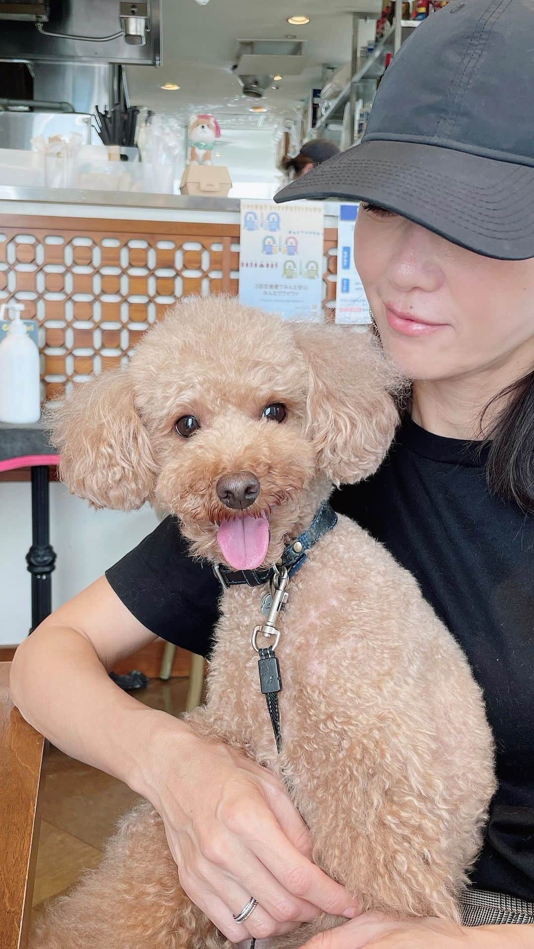 坂田陽子のインスタグラム：「久々にかるたと豊洲のドッグランへ。 ・ 他のワンコ達が元気に芝生を走り回ってるのを遠巻きに見ながらマイペースな愛犬の姿が、 小さい頃の息子の姿と重なり笑えた🤣 ・ アイスホッケーで他の子は氷上の格闘技をしているのに、 1人気持ちよさそうに滑ってたもんなぁ🤣 ・ 明日は高校最後の体育祭だ。」