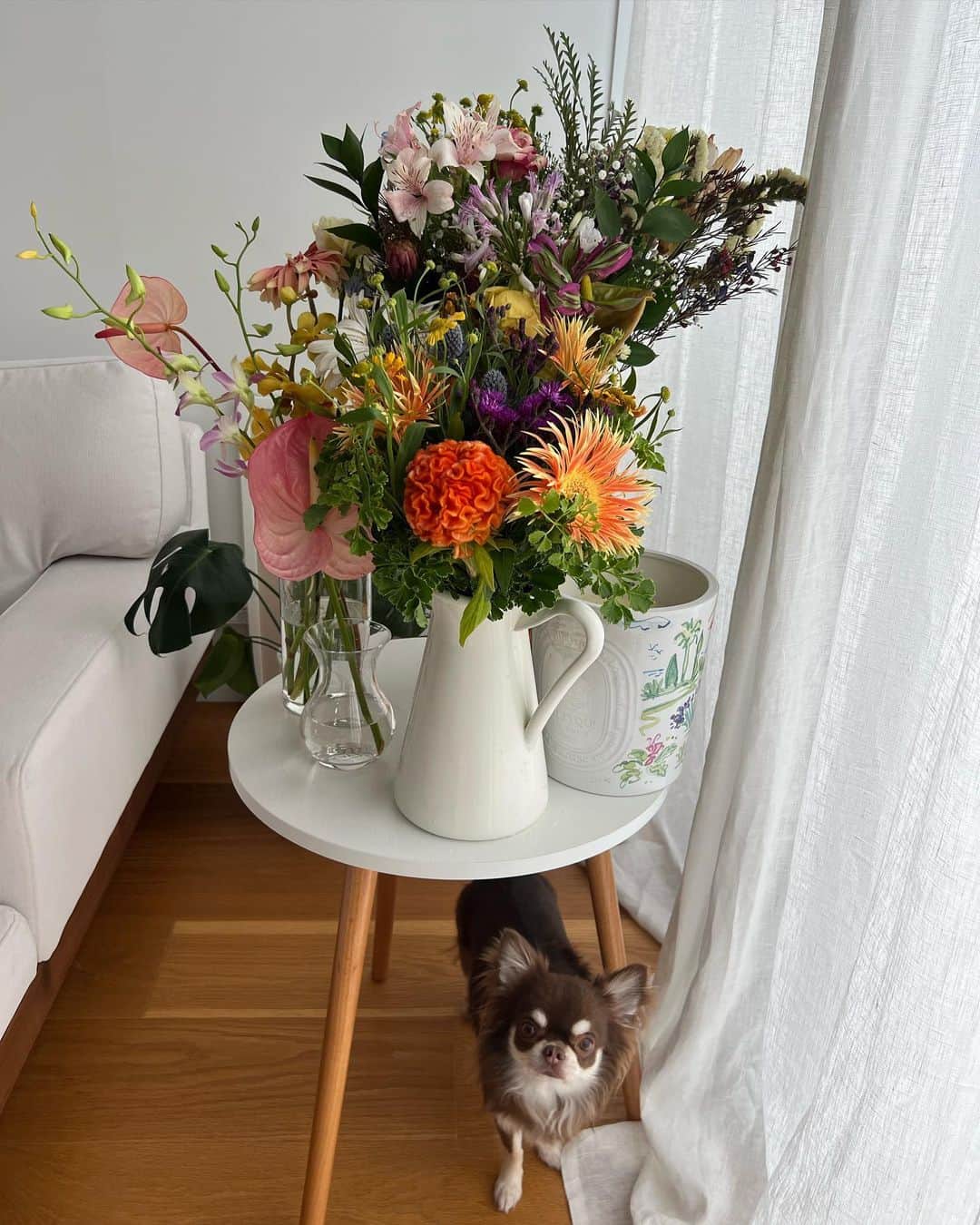 のインスタグラム：「💐🐶🤎」