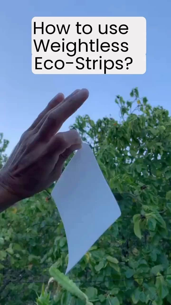 アンジェラ・磨紀・バーノンのインスタグラム：「How to use Eco-Strips. Easy as 1, 2, 3  Video via @angelamakivernon 🎥 🙏🏼 🙌🏼  • • • • •  #zerowaste #zerowasteliving #lessCO2 #plasticfree #cleaningtips #cleaning #cleaninghacks #plasticfreejuly #platicfreeliving #plasticfreeoceans #ecofriendly #ecoliving #laundry #laundryday #weightlessclean  #eco #ecofriendly #sustainable #sustainability」