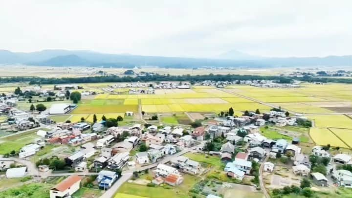 摂津颯登のインスタグラム：「昨日父とした稲刈りの様子を🌾☺️  #秋田県#湯沢市#あきたこまち#稲刈り」