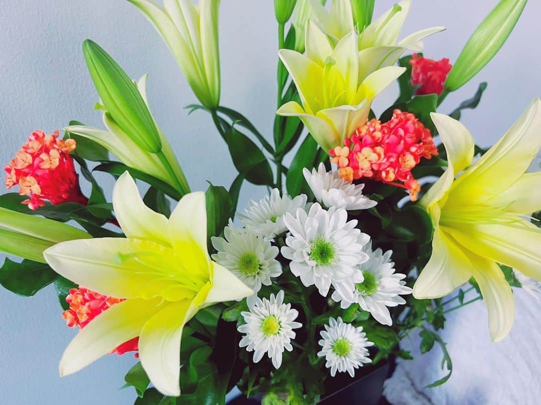 あびる優のインスタグラム：「なかなか普段は選ばない秋を意識したカラー😊💐 黄色い百合の蕾、全部咲きそう✨ 嬉しいな🥰  #autumn#flower#lily#chrysanthemum#santanka#花#お花#生花#百合#サンタンカ#菊#小菊#秋#秋色#💐」