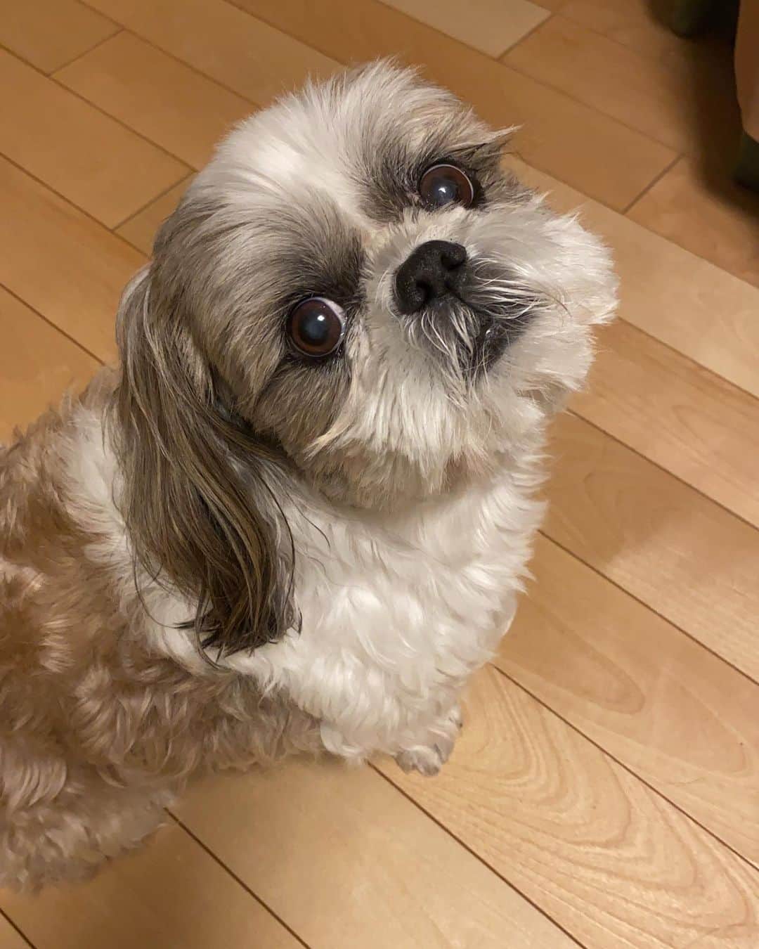 榊原みゆくのインスタグラム