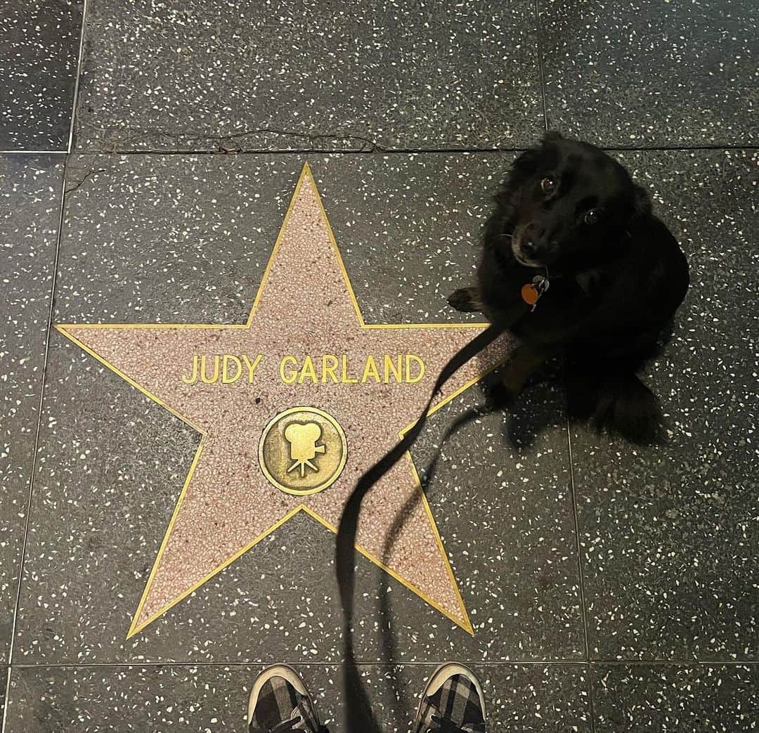 アラン・カミングのインスタグラム：「Lala and I paid homage to some screen legends tonight in LA」