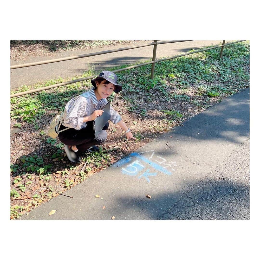 徳島えりかさんのインスタグラム写真 - (徳島えりかInstagram)「* 10月15日🎽 箱根駅伝予選会が3年ぶりに 立川市街地や昭和記念公園を通るコースで実施されます🏃🏻🏃🏻🏃🏻  @hakone_ntv  #箱根駅伝予選会   #一年ってはやい… #ワクワクが抑えきれず公園の下見へ #ハコネ15k #15キロ地点です #しっかり目を開けてポイントを確認しました👀」9月28日 20時57分 - tokushima_erika