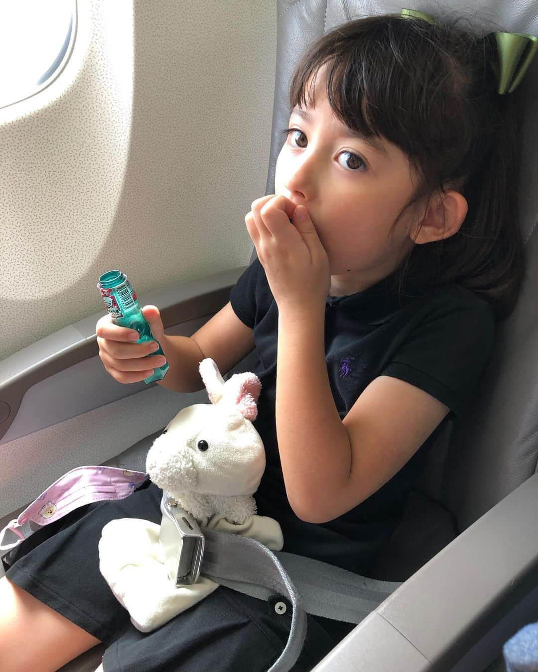 舟橋菜々のインスタグラム：「物凄く久しぶりの飛行機✈️✨ さて、どこに行ったでしょうか😁💡 近々楽しいお知らせが出来ると思うので、また詳しくは投稿しますね👐🏻✨  ①…ウサギもしっかりシートベルト❗️ ②…飛行機を怖がるウサギをなだめるか丸🐇 ③…安全のしおりを熟読🧐 ④…ウサギに空を見せてあげるか丸🌤 ⑤…ノリノリフライト✈️ #airplane#sky#trip#kids#bunny#buddy#happy#smile#love#飛行機#空#シートベルト#うさぎ#子供#旅#育児#子育て#さて#どこへいったでしょうか#ヒント#国内#名古屋から一時間かからない#自然#美食」