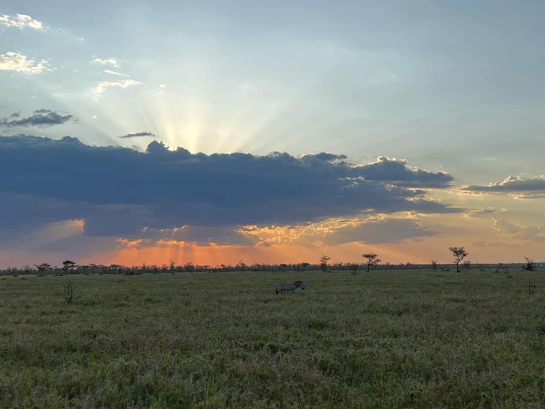 アリッサンドラ・アロノウさんのインスタグラム写真 - (アリッサンドラ・アロノウInstagram)「✨ Serengeti magic ✨」9月29日 4時47分 - alissandra.aronow