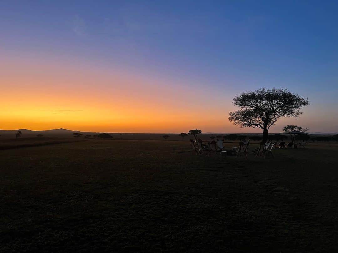 アリッサンドラ・アロノウさんのインスタグラム写真 - (アリッサンドラ・アロノウInstagram)「✨ Serengeti magic ✨」9月29日 4時47分 - alissandra.aronow
